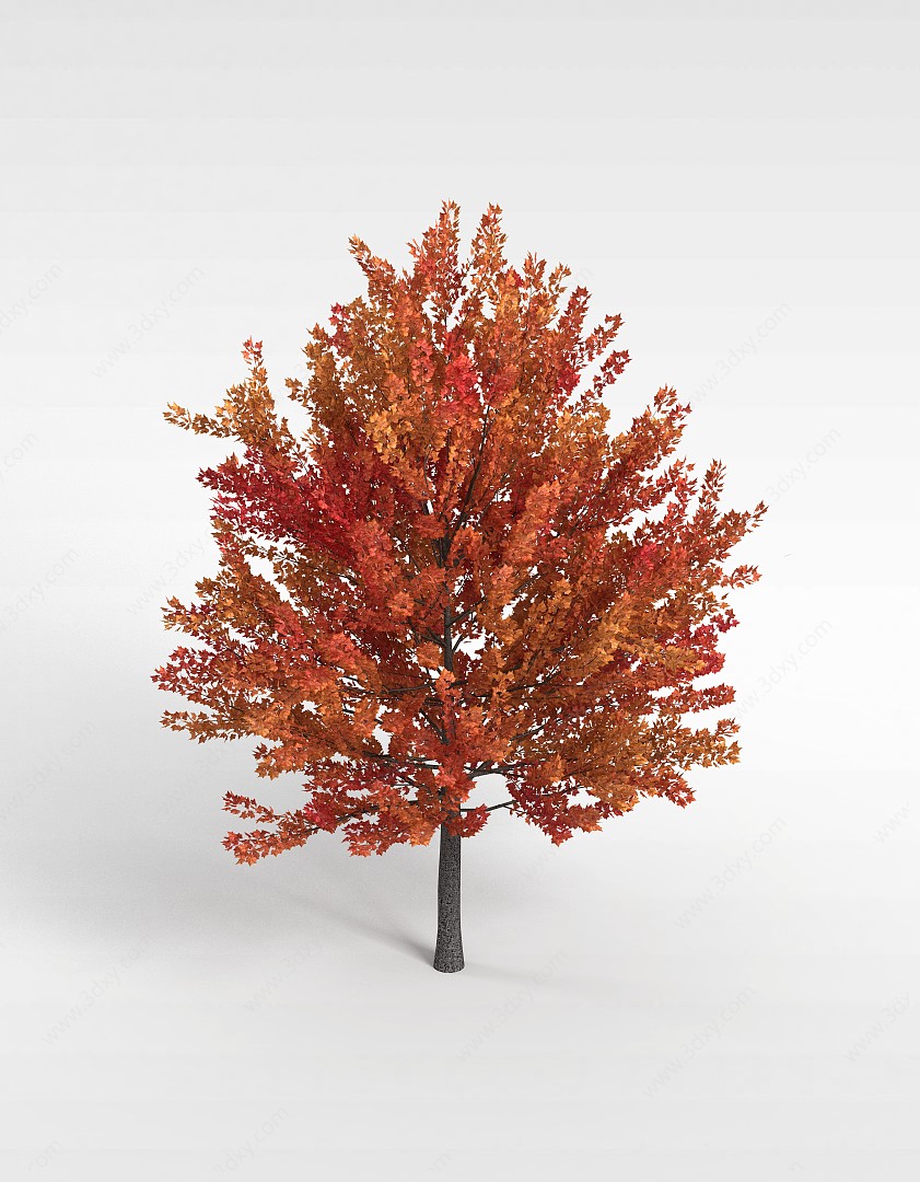 橘色叶子树木3D模型