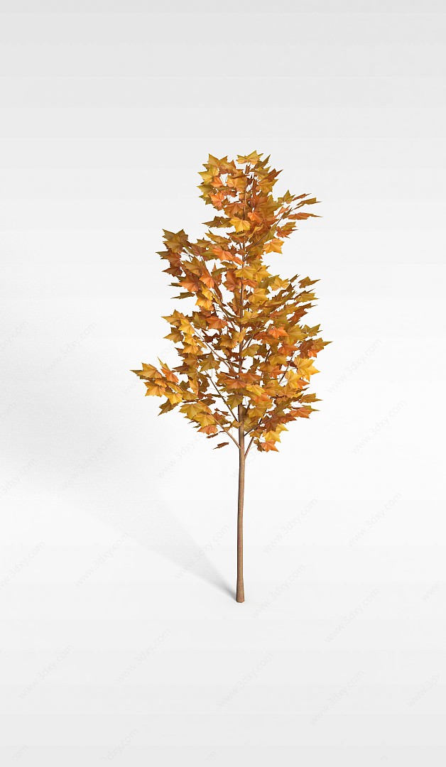 黄色枫叶树3D模型