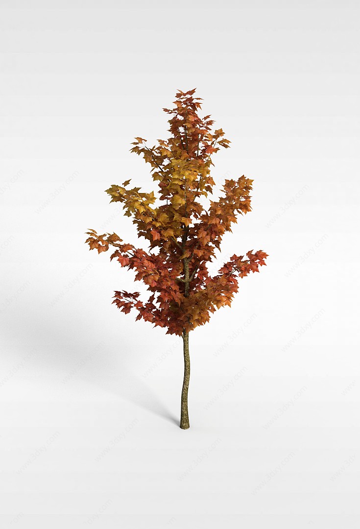 黄色叶子树木3D模型
