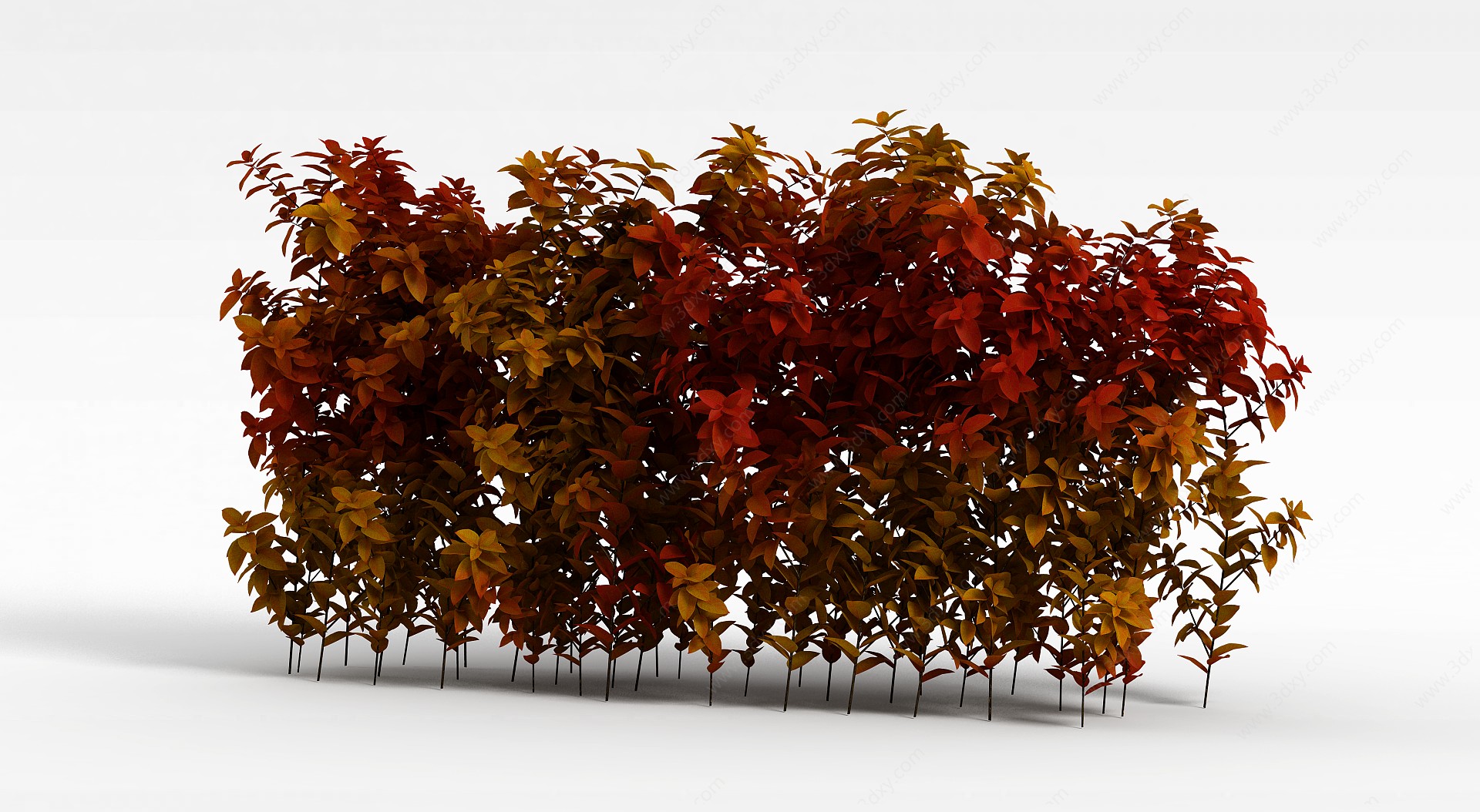 黄色树叶树丛3D模型
