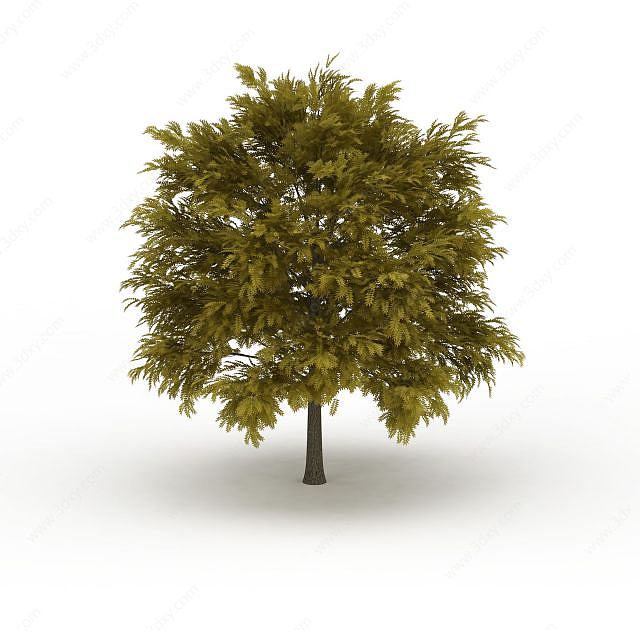 大型绿叶树3D模型