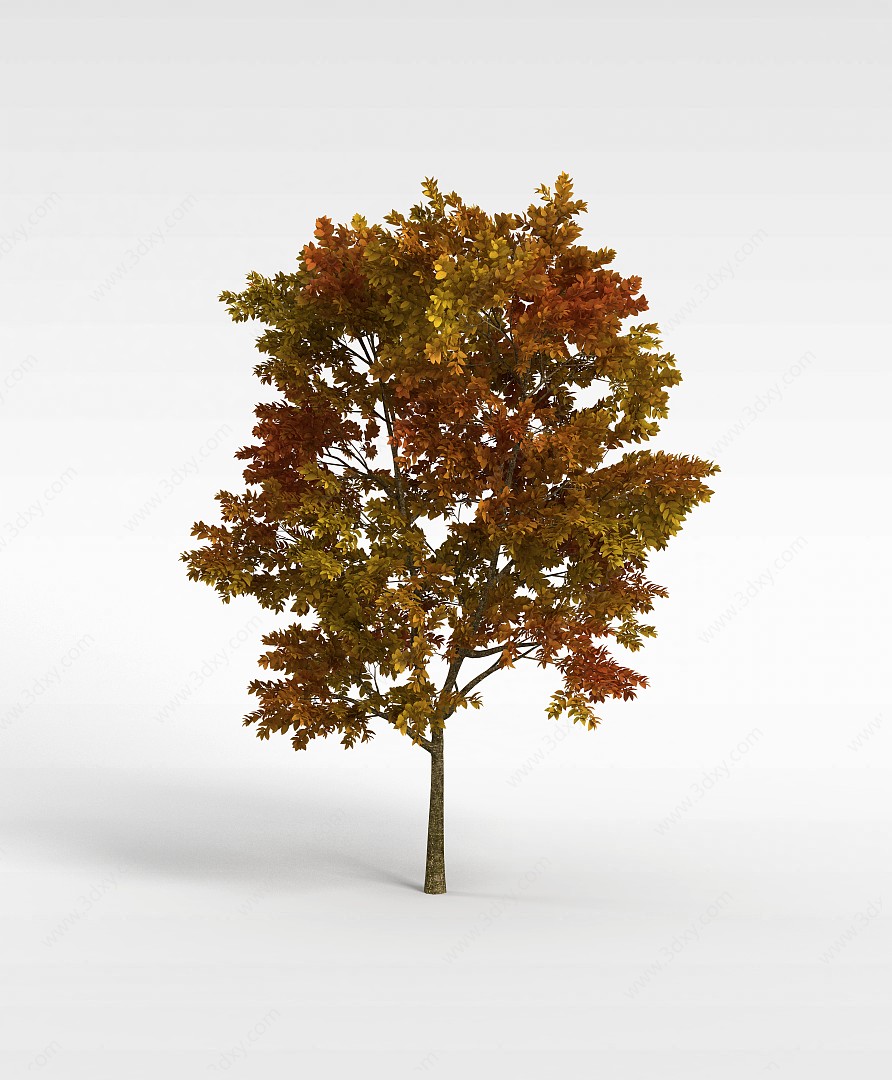 秋天黄叶树木3D模型