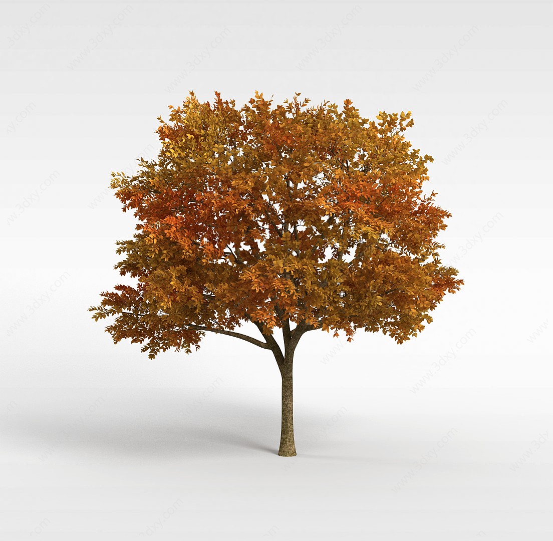 大树冠黄叶树3D模型