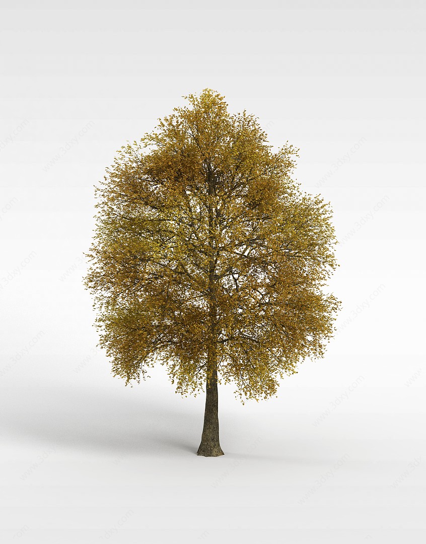 绿色小叶树木3D模型