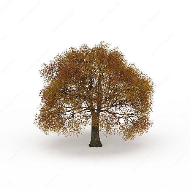 黄叶公园景观树3D模型