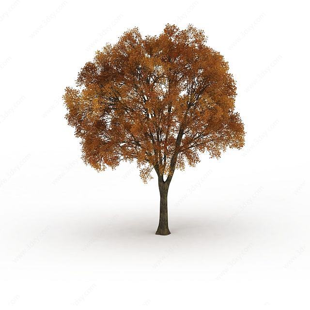 秋天黄叶大树3D模型