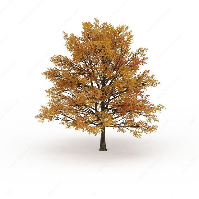 大型黄叶树木3D模型