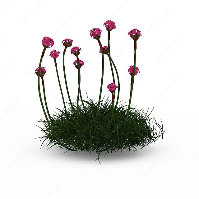玫红花朵植物3D模型