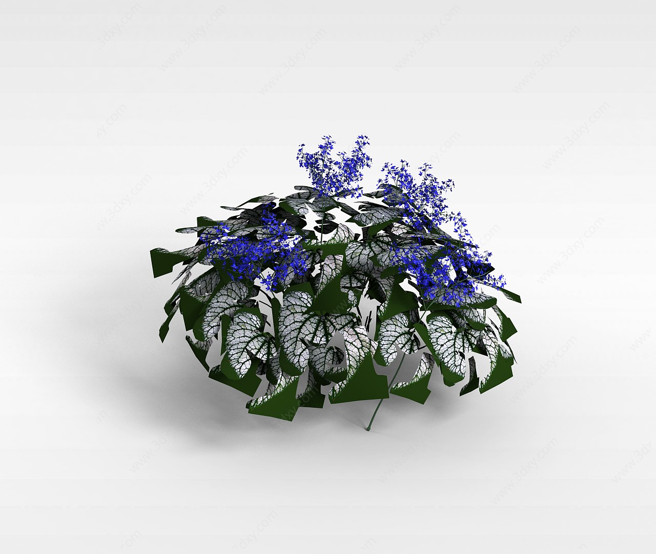 紫色小花植物3D模型
