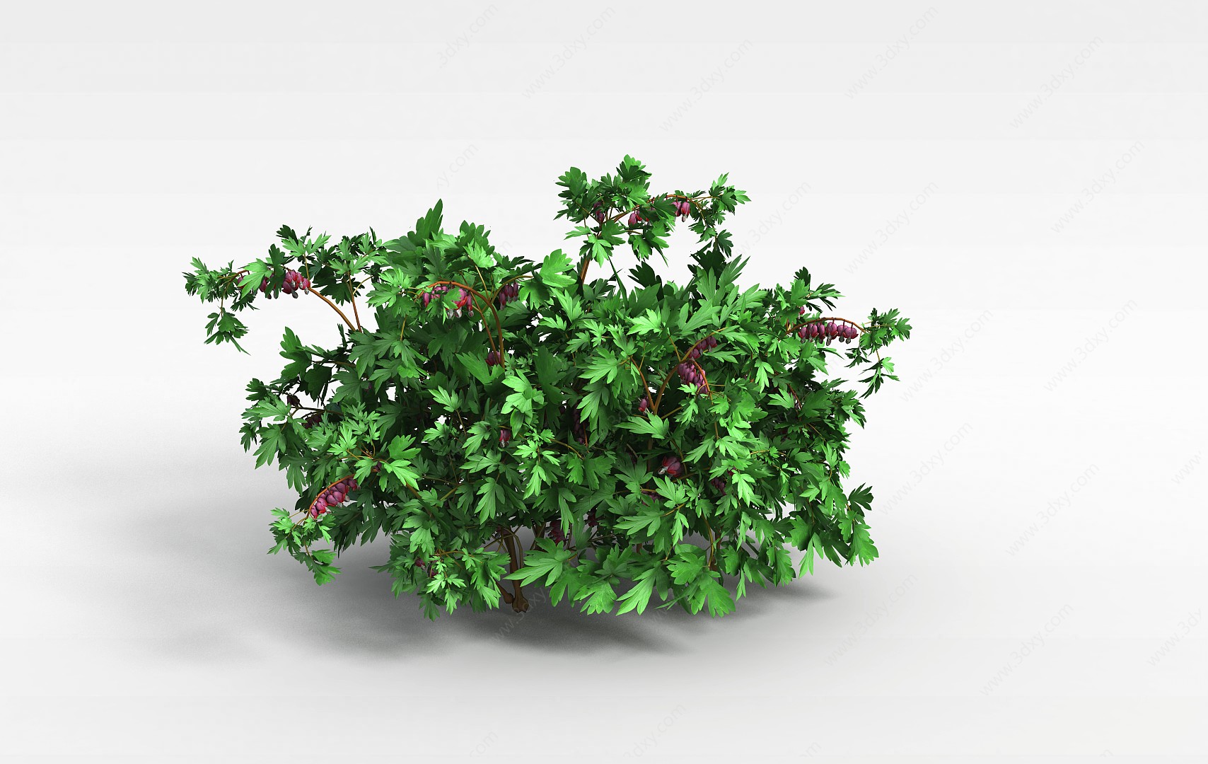 紫花灌木植物3D模型