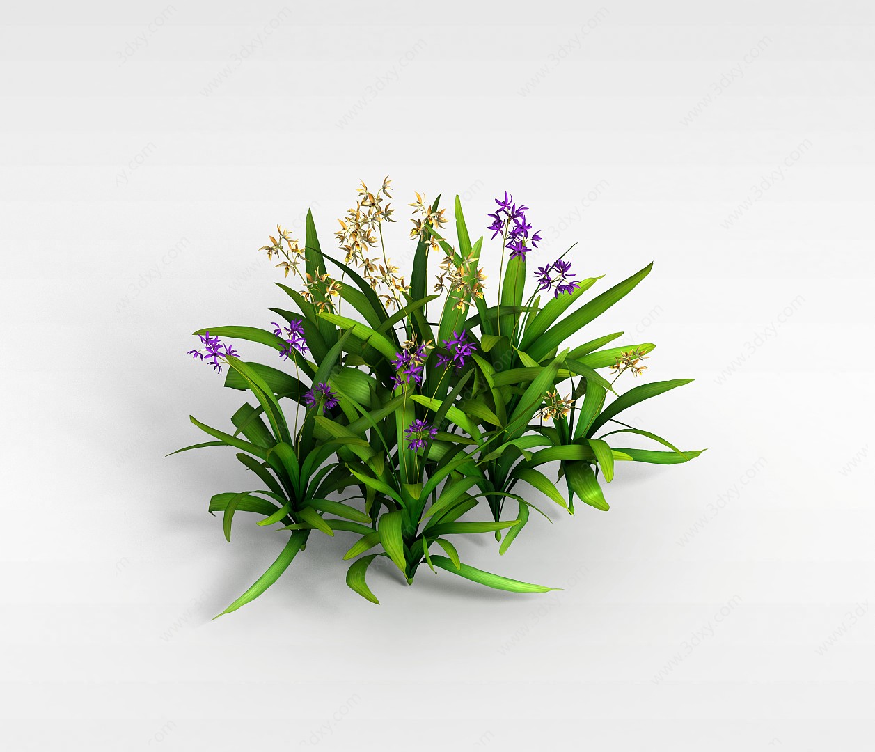 紫色园艺花草3D模型