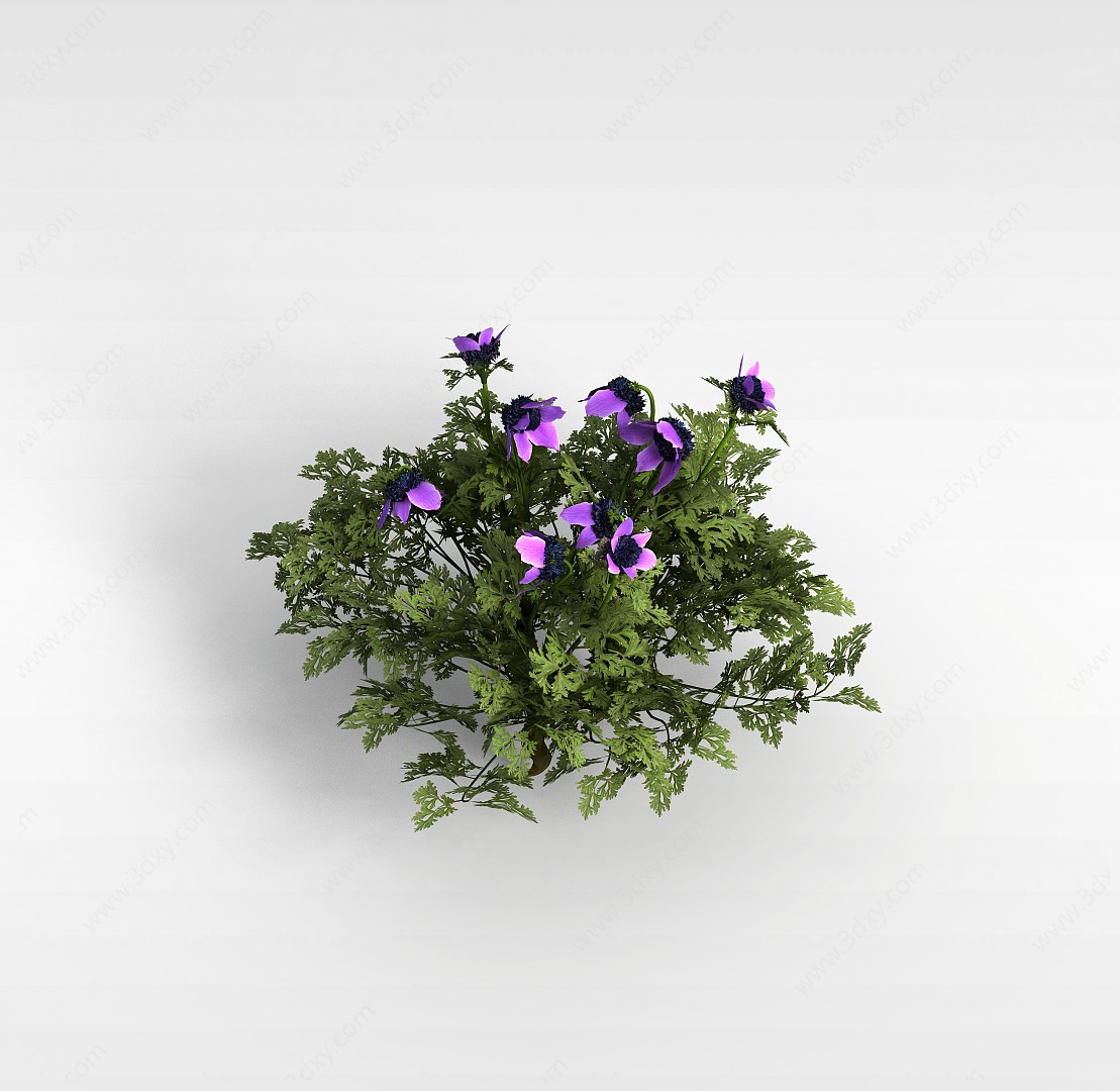 六瓣紫色花朵3D模型