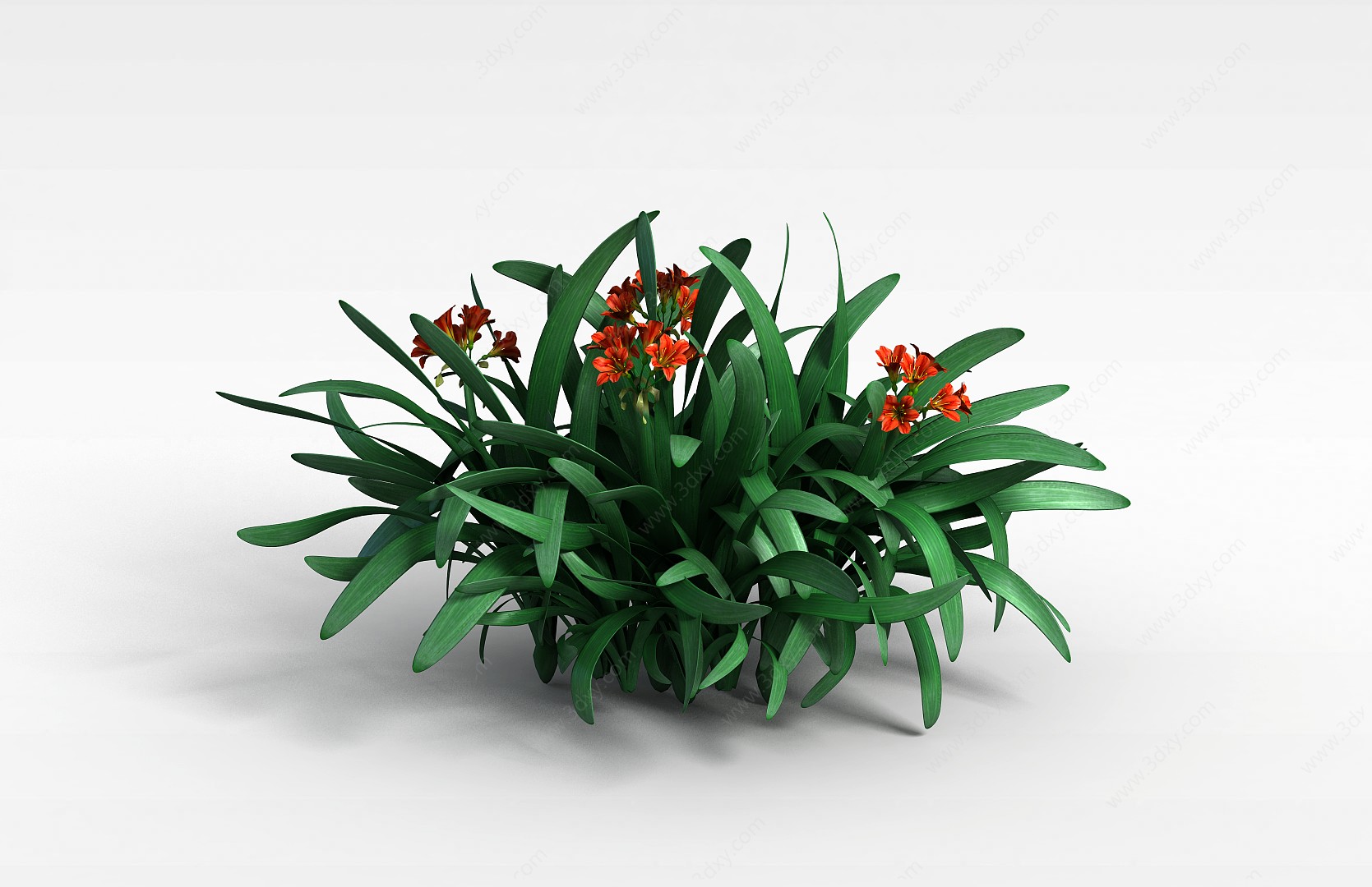 橘色小花植物3D模型