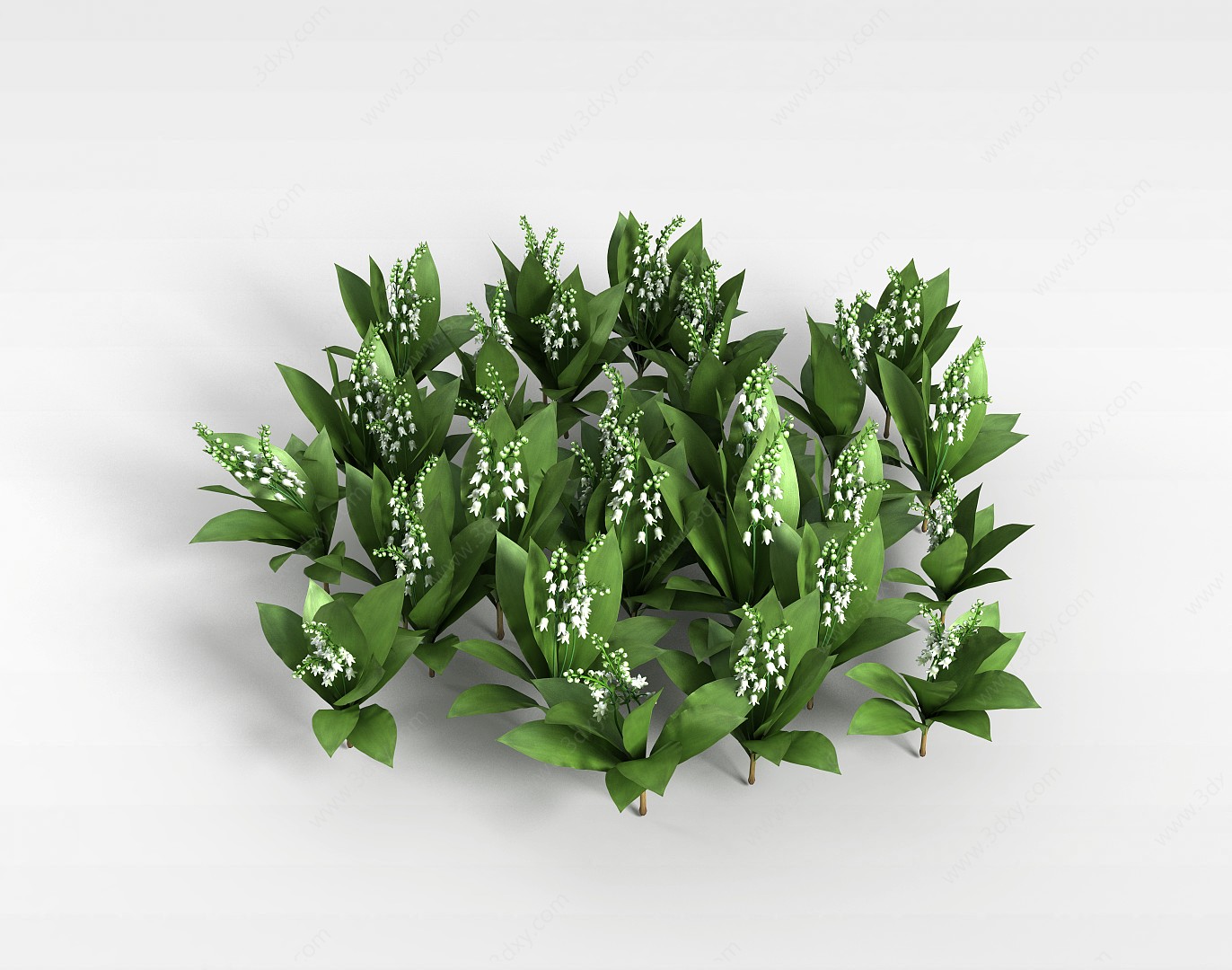 白色花朵植物3D模型