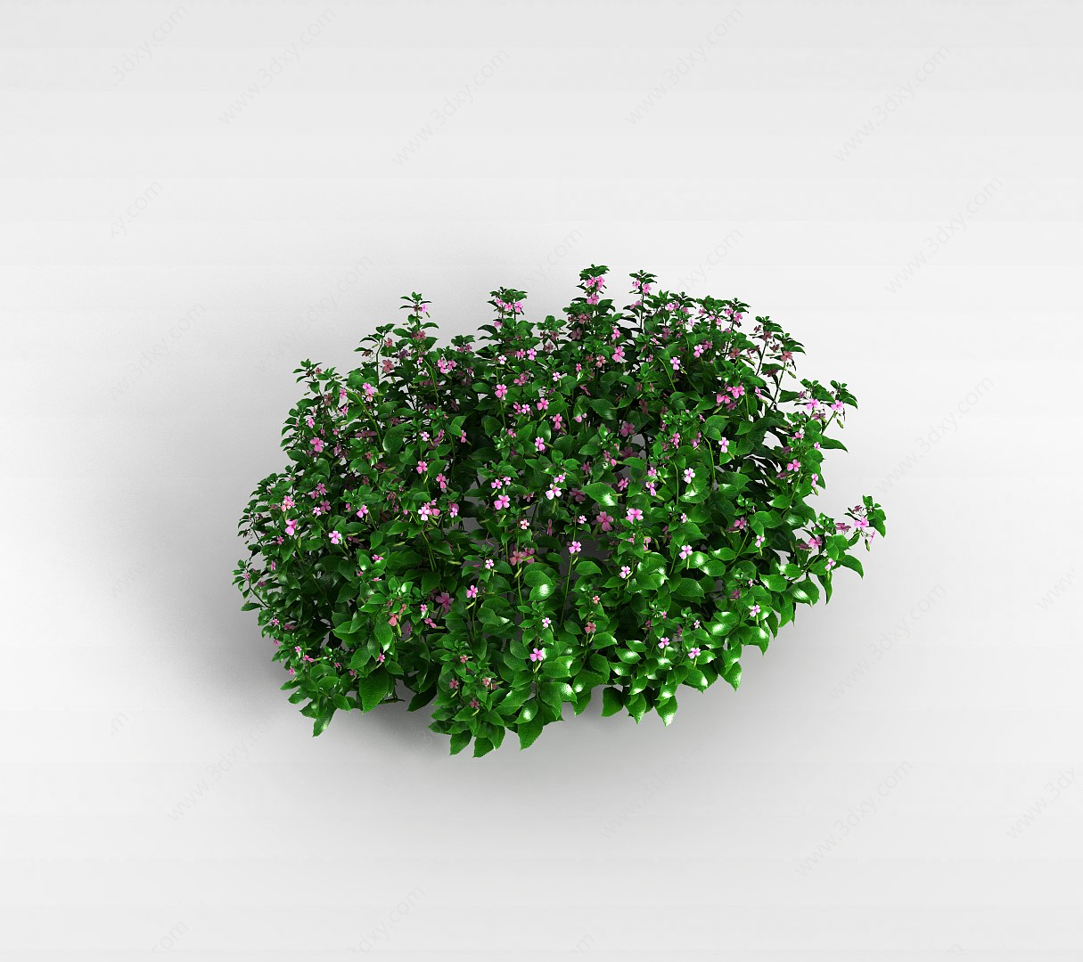 粉色小花植物3D模型