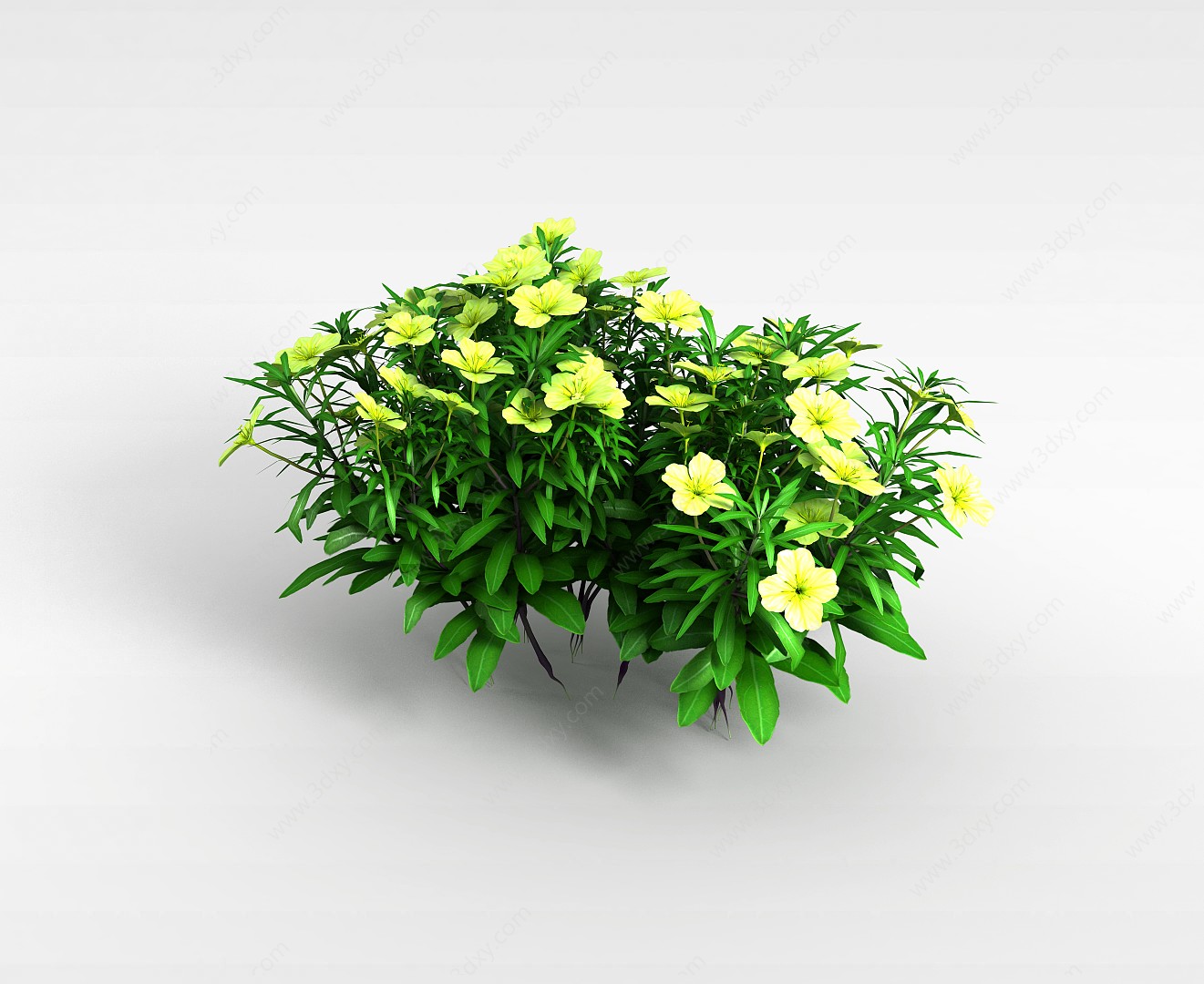 黄色四瓣花朵3D模型