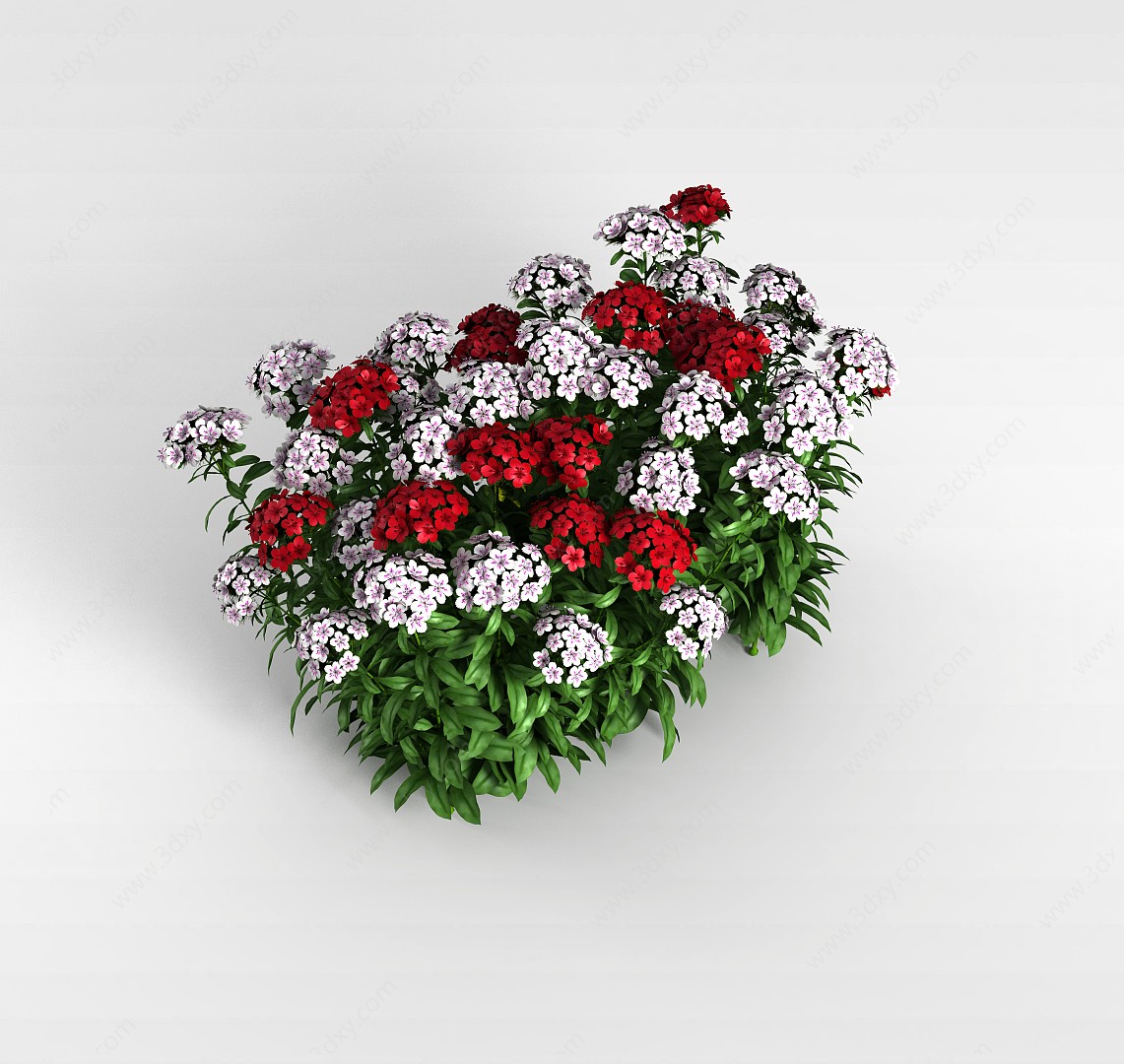 红色小花植物3D模型