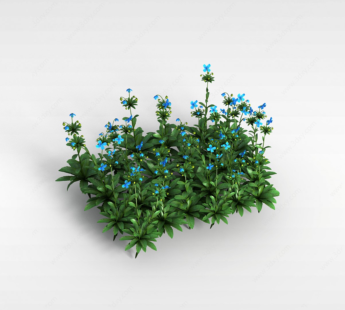 蓝色四瓣花朵3D模型
