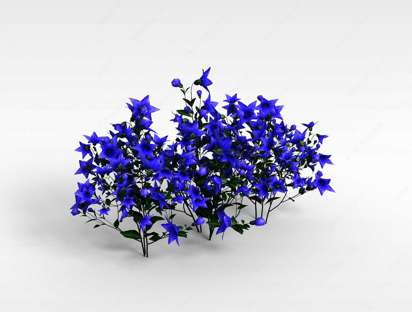 紫色五瓣花卉3D模型