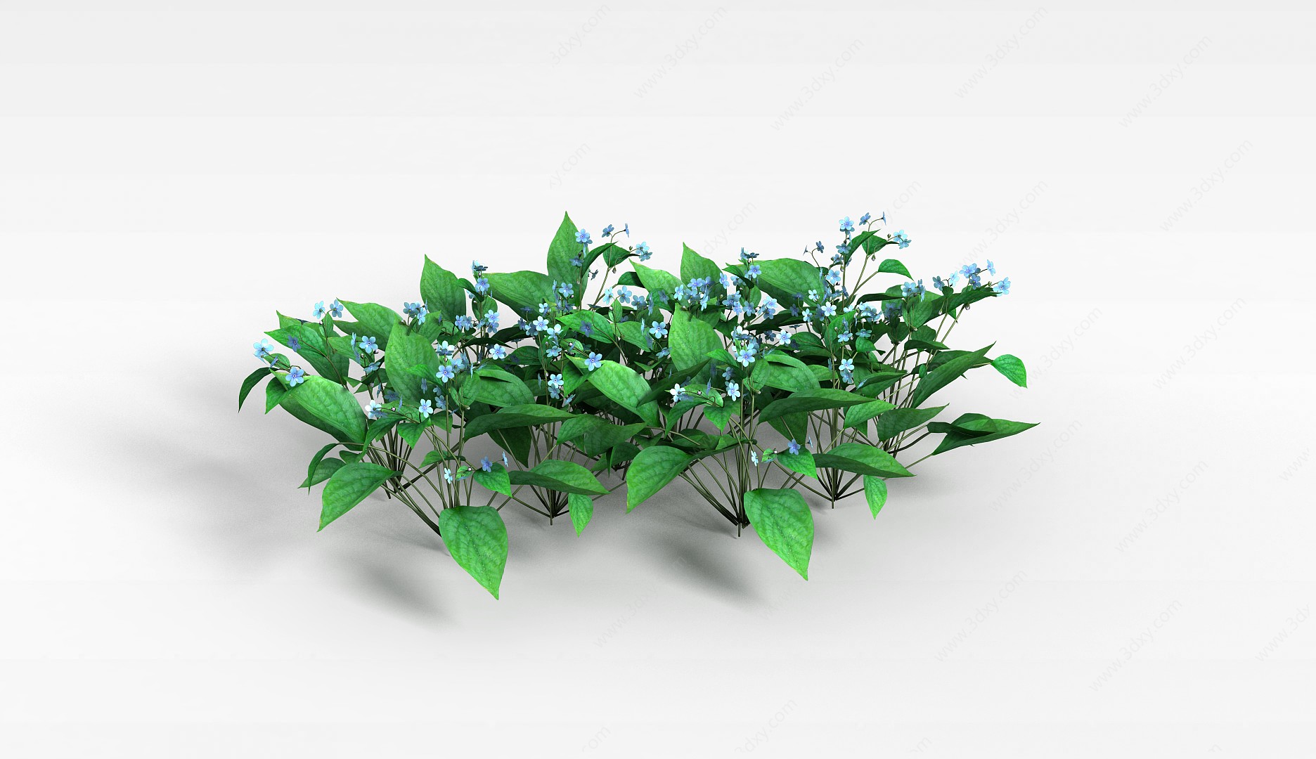 蓝色小花植物3D模型