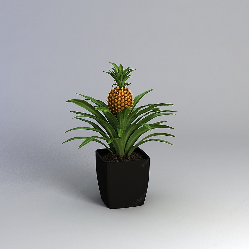 菠萝盆栽3D模型