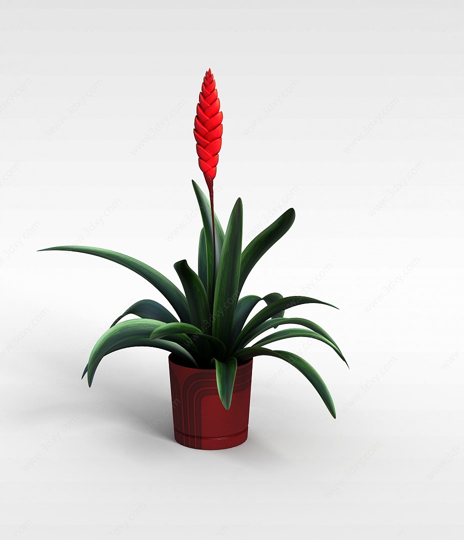 红花绿叶盆景3D模型