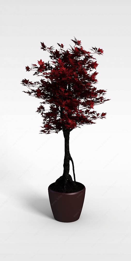 红色枫树3D模型