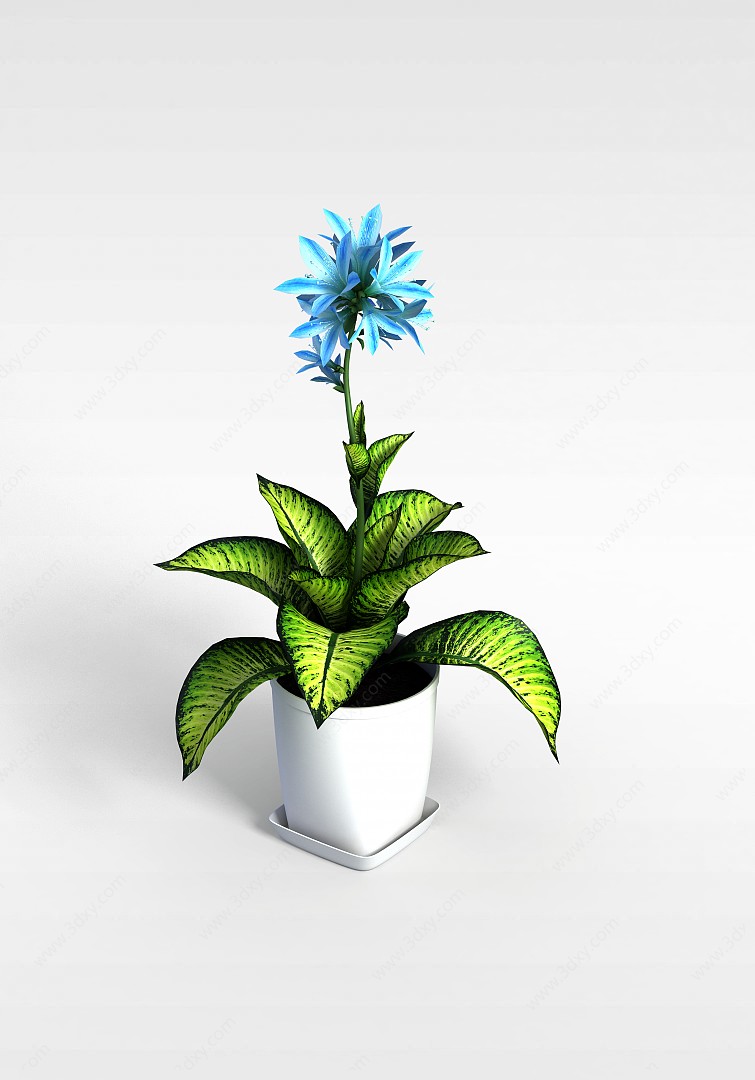 蓝色五瓣花盆栽3D模型