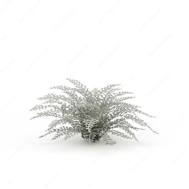 白色植物3D模型
