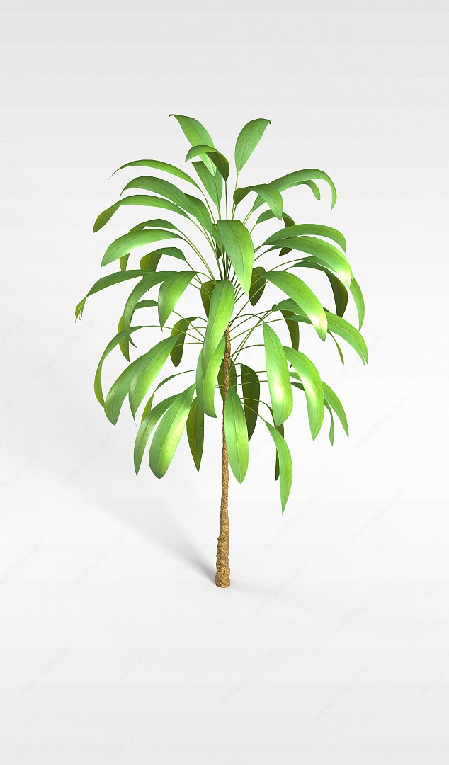 狭长绿叶植物3D模型