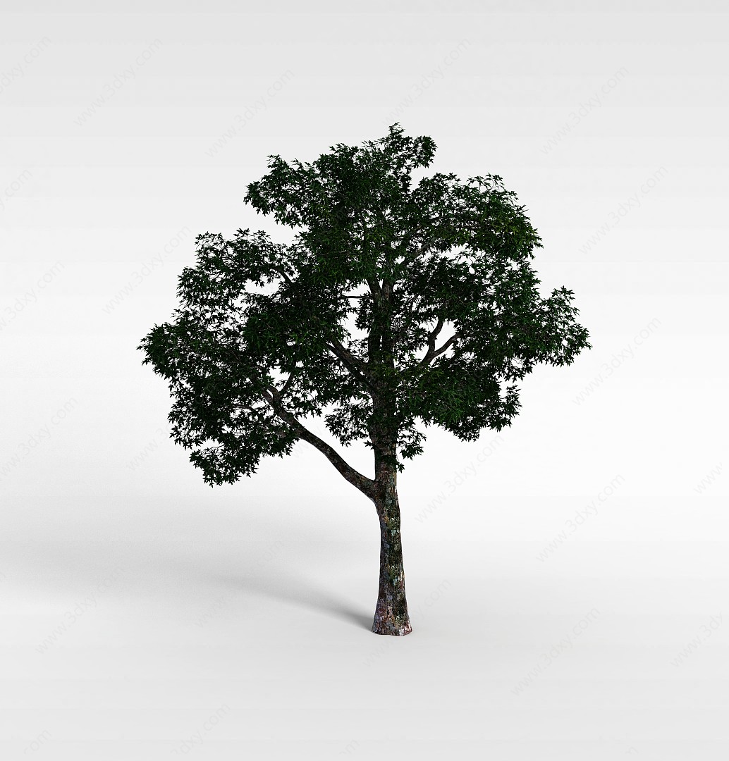 绿化植物3D模型