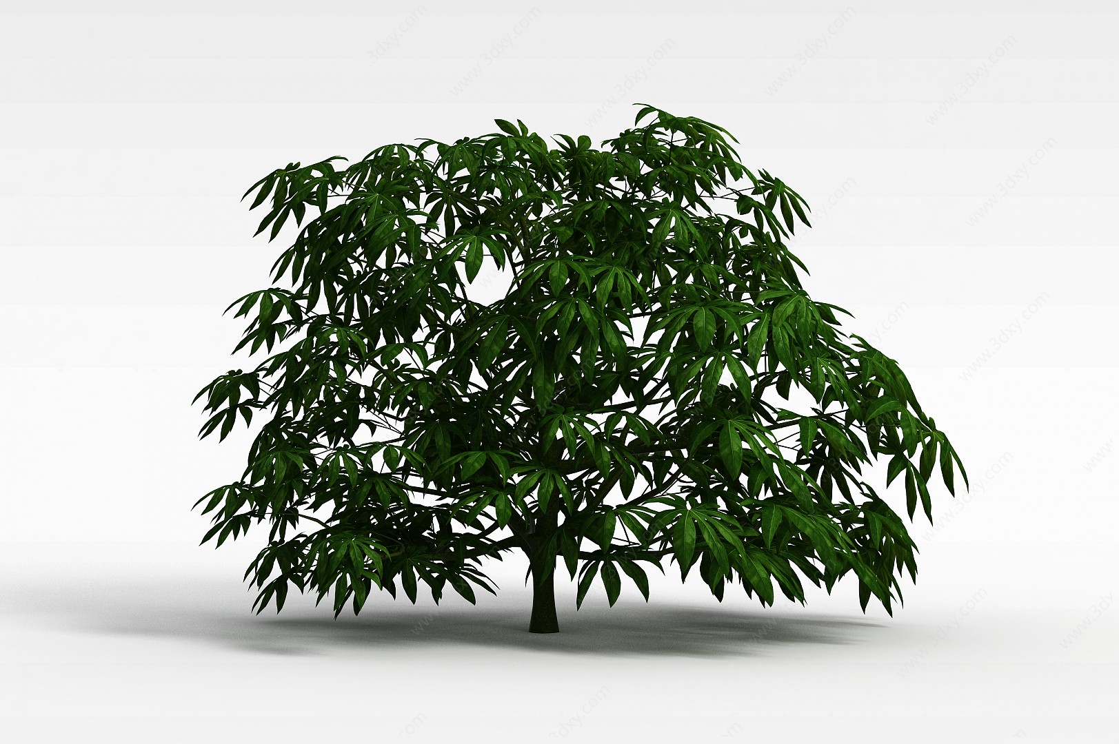 观音棕竹盆景3D模型