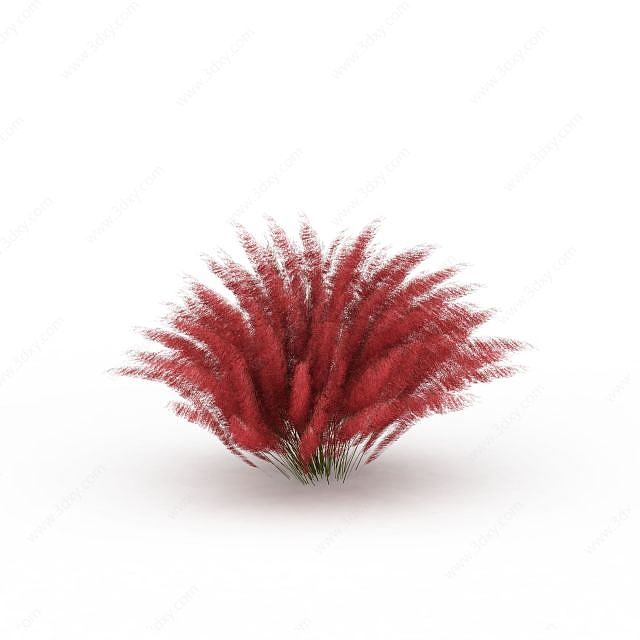 红色绿化植物3D模型