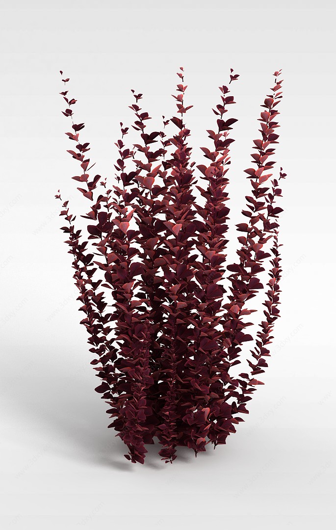 红色景观植物3D模型