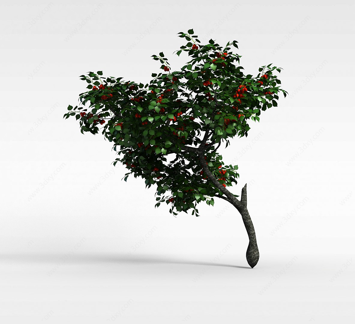 结红色果实的树木3D模型