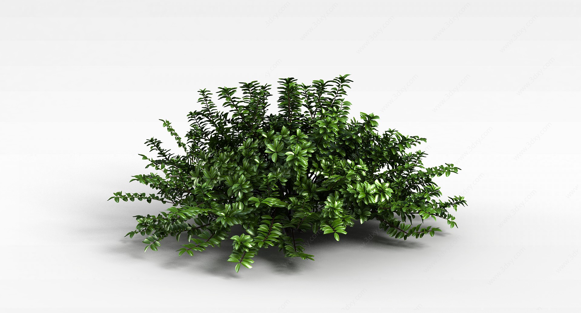 灌木丛3D模型