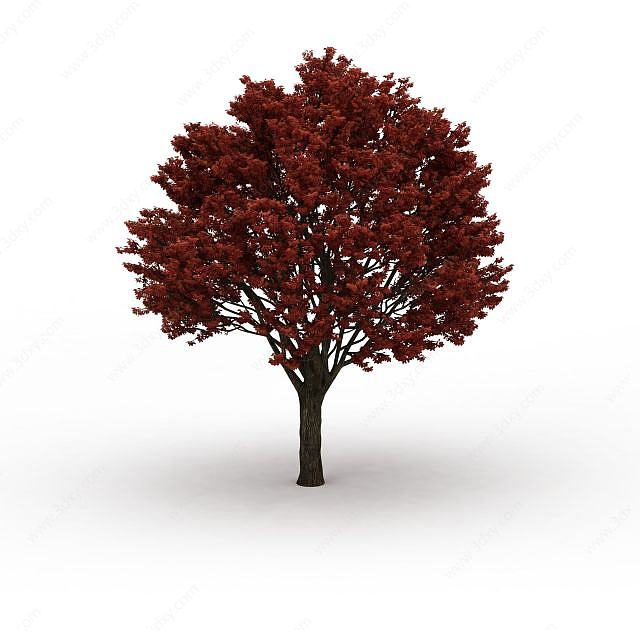 秋叶大树3D模型