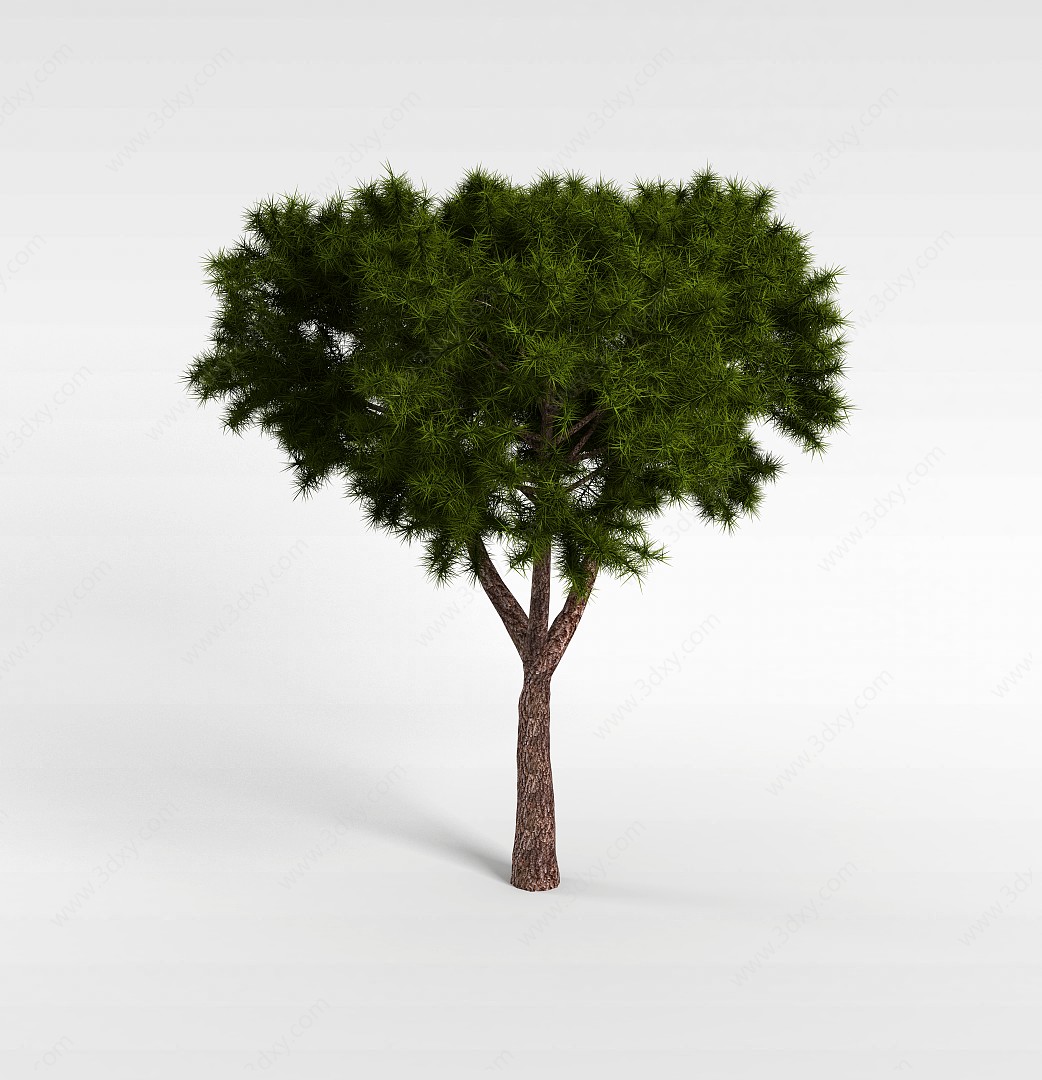 绿色观赏松树3D模型