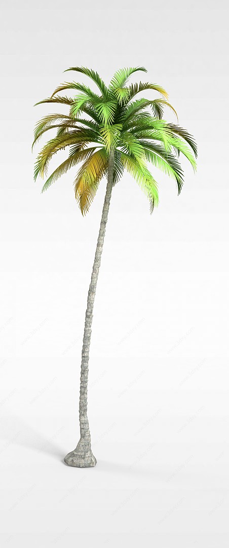 绿色椰子树3D模型