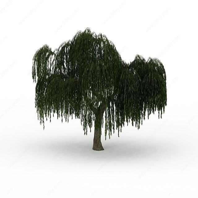 茂盛柳树3D模型