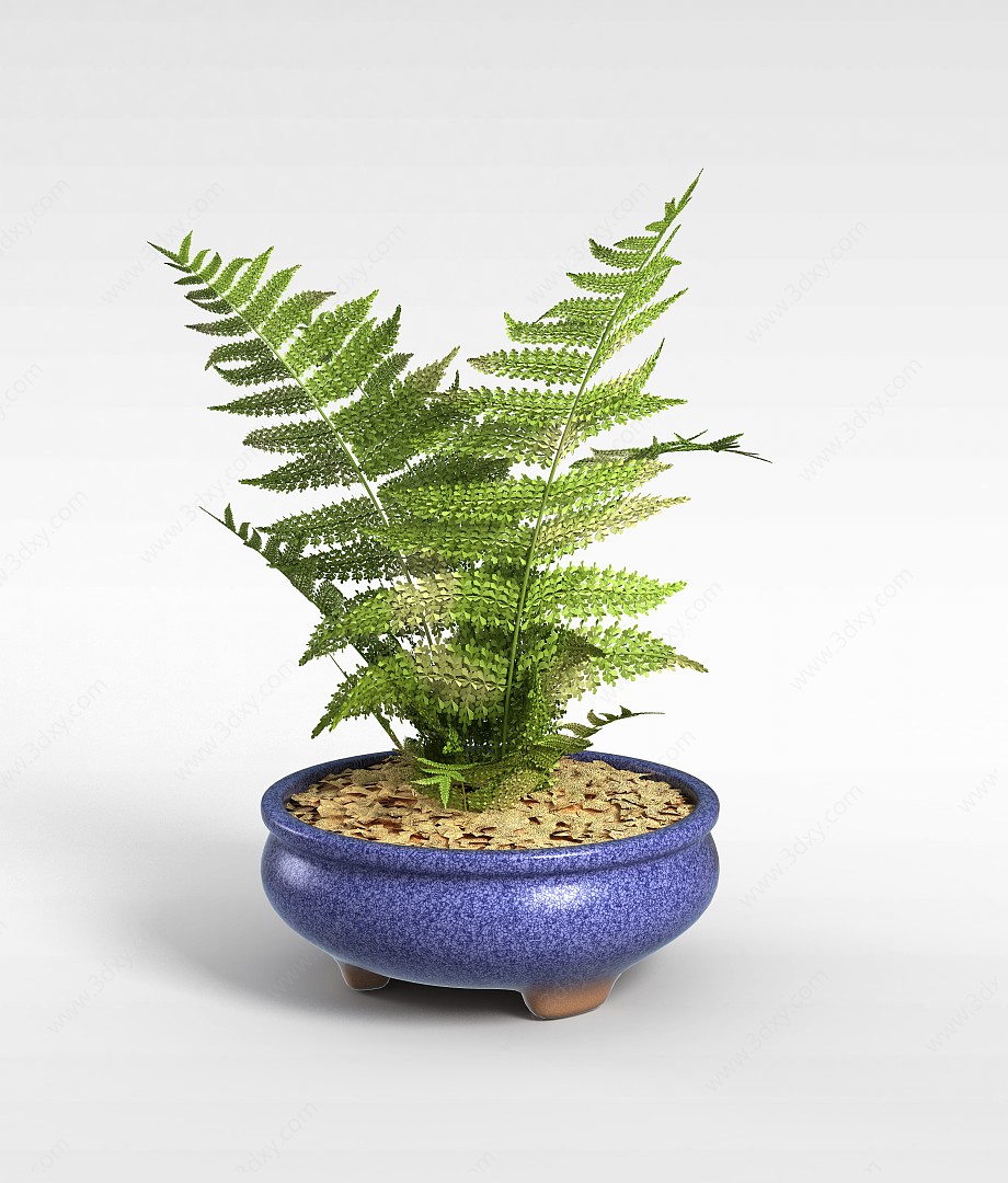 室内植物盆栽3D模型