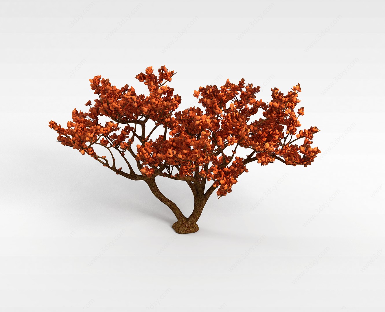 深秋树木3D模型
