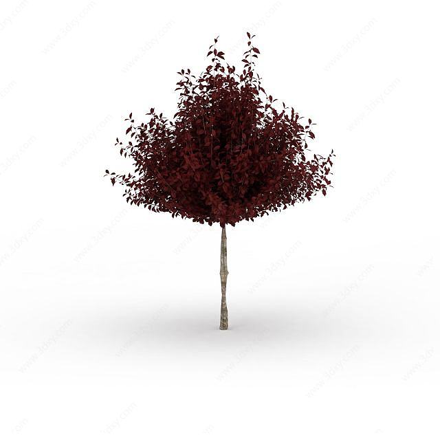 秋叶树木3D模型