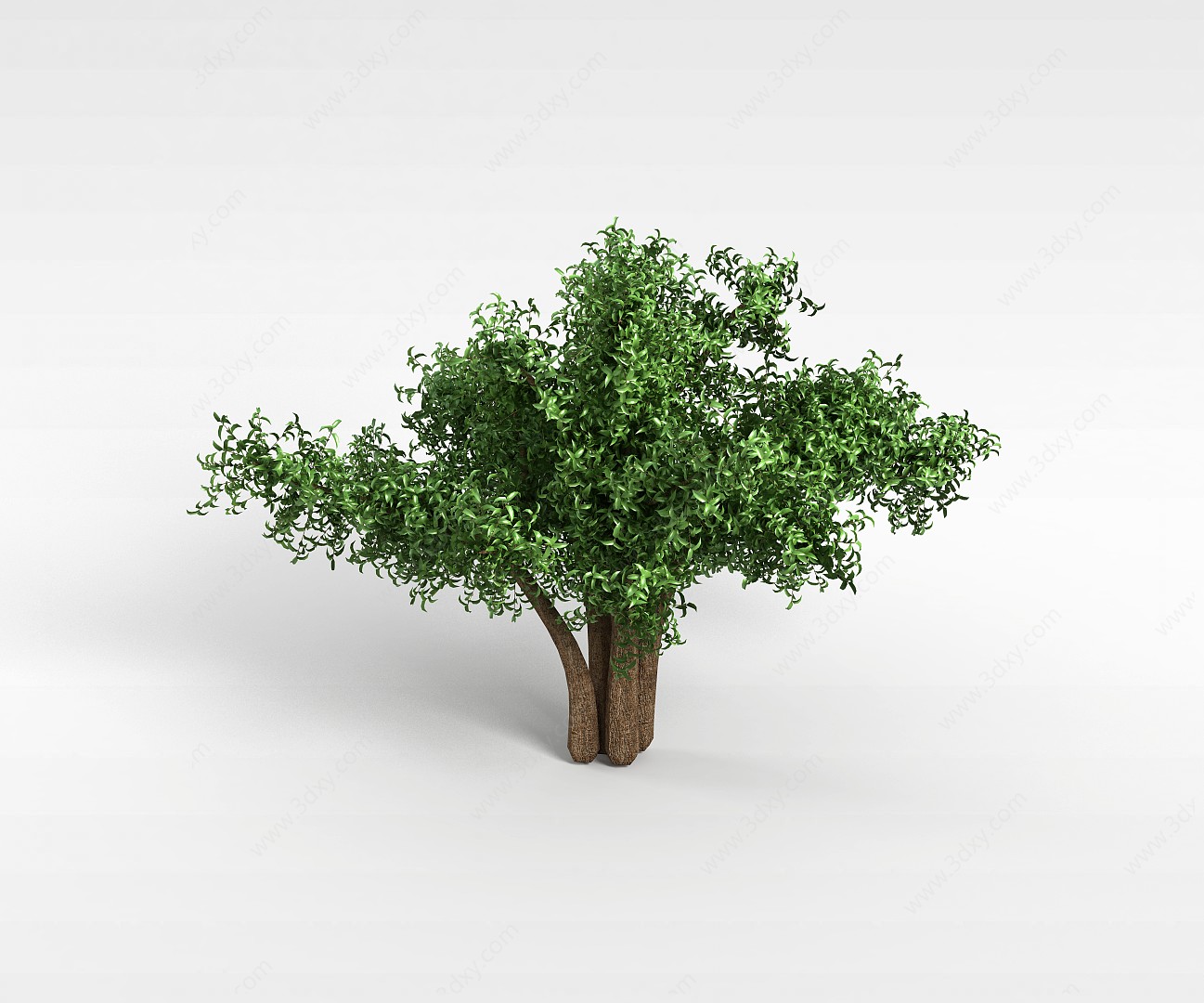 平原矮树3D模型