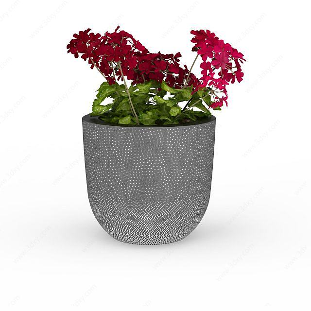 红色盆栽植物3D模型