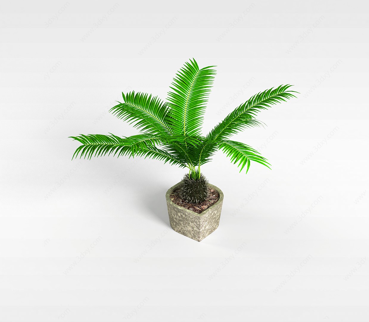盆栽绿化植物3D模型