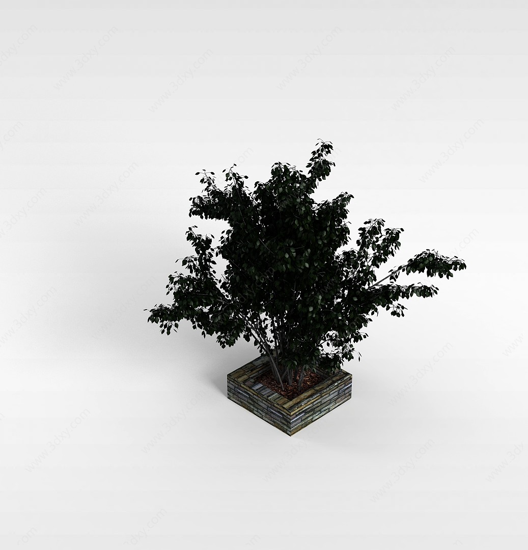 绿叶树景观3D模型