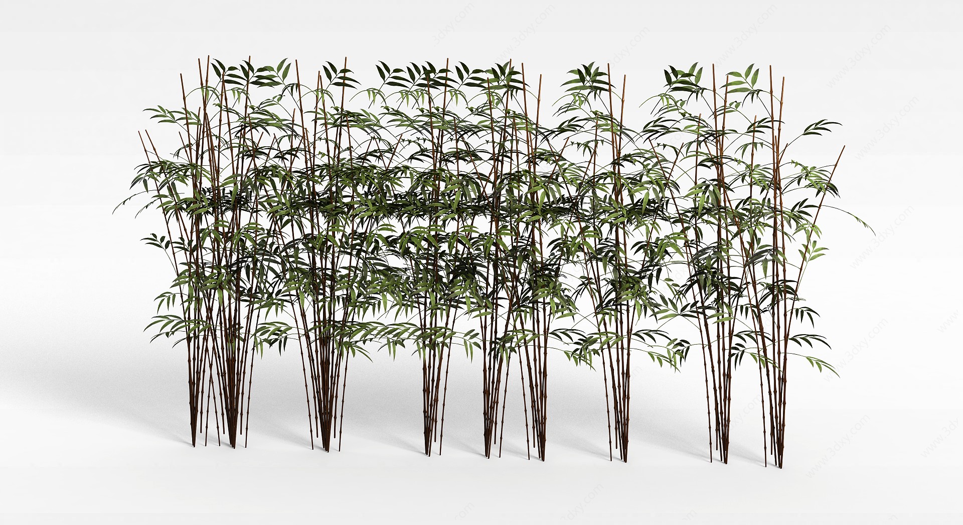 公园绿竹3D模型