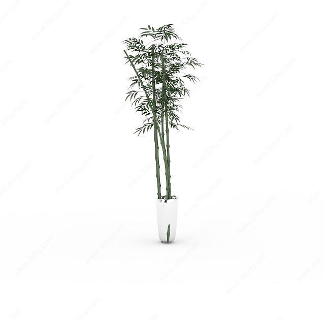 绿竹盆栽3D模型