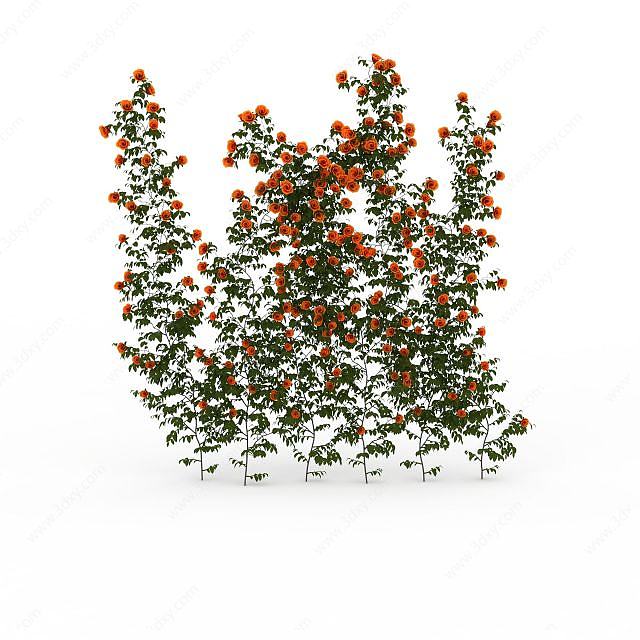 橘色景观花绿植3D模型